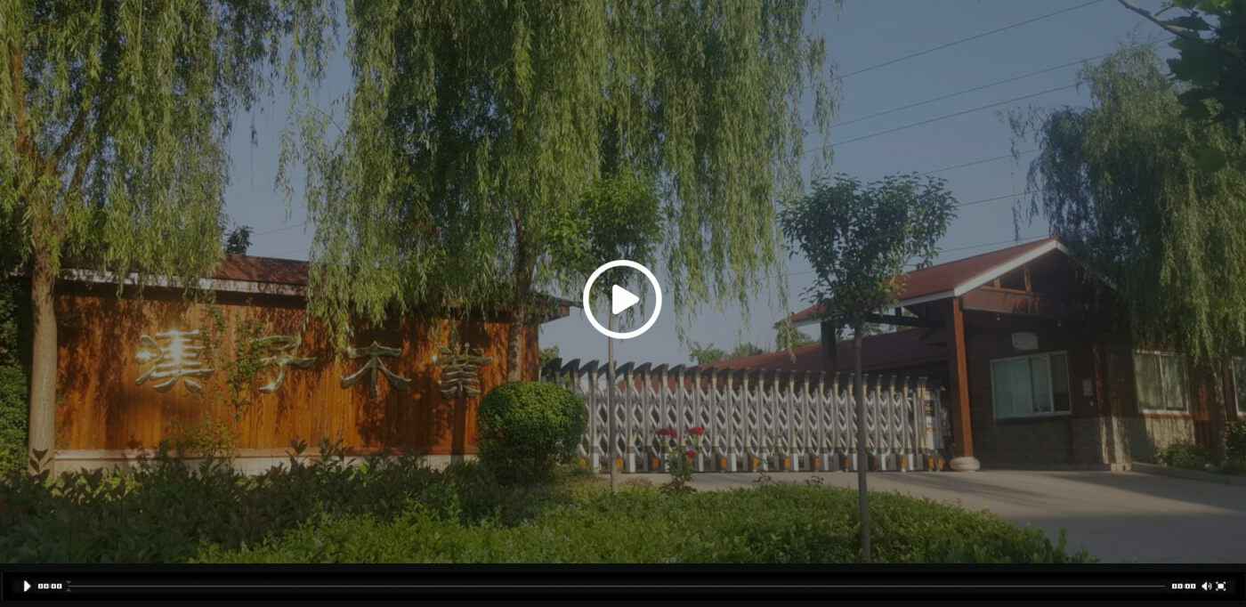 开云手机官方站在线入口-开云(中国)